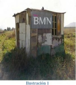 bmn1